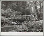 Rustic bridges built by Resettlement Administration workers add to the beauty of stream and forest in the coast recreation area. Oregon