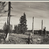 Stump ranches spring up in the wake of the logging company and try to wrest a living from a few acres of forest land. Coast Ranges, Oregon