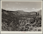 The Deschutes River Canyon covered with sparse grass, stunted cedars and rimrock. Central Oregon grazing project