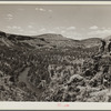 The Deschutes River Canyon covered with sparse grass, stunted cedars and rimrock. Central Oregon grazing project