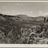 The Deschutes River Canyon covered with sparse grass, stunted cedars and rimrock. Central Oregon grazing project