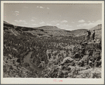 The Deschutes River Canyon covered with sparse grass, stunted cedars and rimrock. Central Oregon grazing project