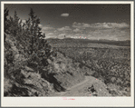 A stock trail built by the Resettlement Administration leading to the Deschutes River. Peaks of the Cascades in the distance. Oregon