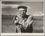 A one-armed sheep herder. Central Oregon grazing project