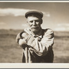 A one-armed sheep herder. Central Oregon grazing project