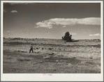 A shepherd and his flocks on the grazing project in central Oregon