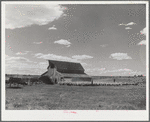 Herders in transit putting their sheep up for the night at a ranch on the Resettlement Administration grazing project in central Oregon