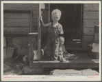 Children of migratory fruit workers. Yakima, Washington