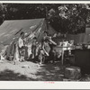 Family of migratory fruit workers. Yakima, Washington