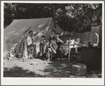 Family of migratory fruit workers. Yakima, Washington