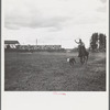Roping a calf. Molalla Buckeroo (rodeo). Molalla, Oregon