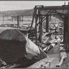 Logs coming up conveyor into mill. Longview, Washington