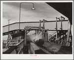 Washing logs before sawing. Longview, Washington