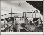 Washing logs before sawing. Longview, Washington