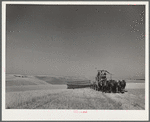 A sixteen-horse combine in the fertile fields of the Palouse country. Washington