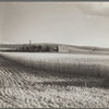 Wheat farm. Whitman County, Washington