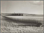 Wheat farm. Whitman County, Washington