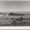 Orchard along Yakima River. Washington