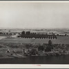 Orchard along Yakima River. Washington