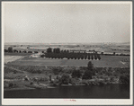 Orchard along Yakima River. Washington