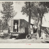 Migratory fruit workers from Missouri. Yakima, Washington