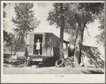 Migratory fruit workers from Missouri. Yakima, Washington