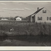 Longview Homesteads. Longview, Washington