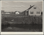 Longview Homesteads. Longview, Washington