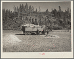 Loading hay. Goldendale, Washington