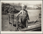 Child of migratory worker. Yakima, Washington