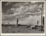 Typical submarginal farm on project near Newport, Washington