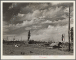 Typical submarginal farm on project near Newport, Washington