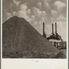 Waste sawdust from the Columbia River mills is shipped to Portland power plants for use as fuel. Oregon