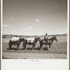 Sheep herder on the trail. Madras, Oregon