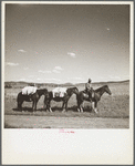 Sheep herder on the trail. Madras, Oregon