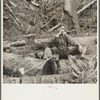 "After." Siltcoos, Oregon