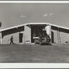 Truck loading potatoes at storage cellar. Monte Vista, Colorado