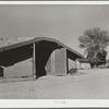 Potato storage cellar. Rio Grande County, Colorado