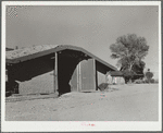 Potato storage cellar. Rio Grande County, Colorado