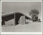 Potato storage cellar. Rio Grande County, Colorado