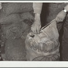 Sewing a sack of potatoes. Monte Vista, Colorado