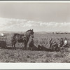 Spanish-American potato pickers at rest. Rio Grande County, Colorado