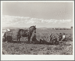 Spanish-American potato pickers at rest. Rio Grande County, Colorado