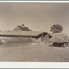 Potatoes are trucked from field to storage cellars. Rio Grande County, Colorado