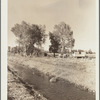 Migrant potato pickers' shacks near irrigation ditch. Rio Grande County, Colorado
