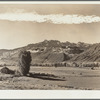 Farm at foot hills of Rocky Mountains. Ouray County, Colorado