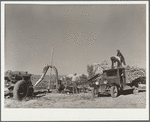 Filling a trench silo. Montrose County, Colorado