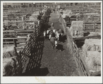 Stockyards, Denver, Colorado