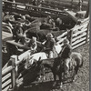 Making a sale. Stockyards, Denver, Colorado