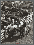 Making a sale. Stockyards, Denver, Colorado